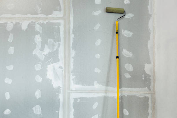 Best Drywall Texturing  in Boston, GA